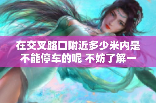 在交叉路口附近多少米内是不能停车的呢 不妨了解一下具体规定