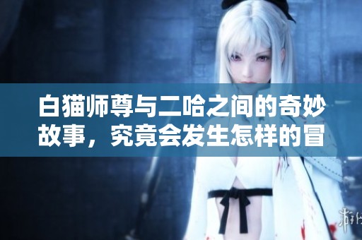 白猫师尊与二哈之间的奇妙故事，究竟会发生怎样的冒险呢