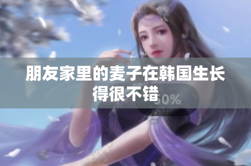 朋友家里的麦子在韩国生长得很不错
