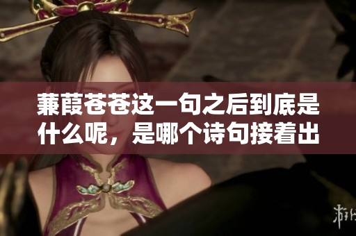 蒹葭苍苍这一句之后到底是什么呢，是哪个诗句接着出现的呢