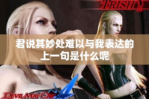 君说其妙处难以与我表达的上一句是什么呢