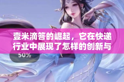 壹米滴答的崛起，它在快递行业中展现了怎样的创新与优势