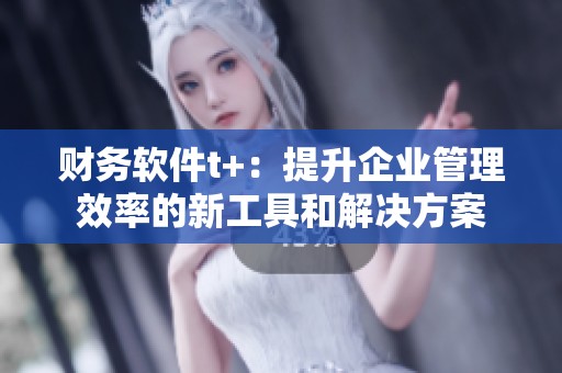 财务软件t+：提升企业管理效率的新工具和解决方案