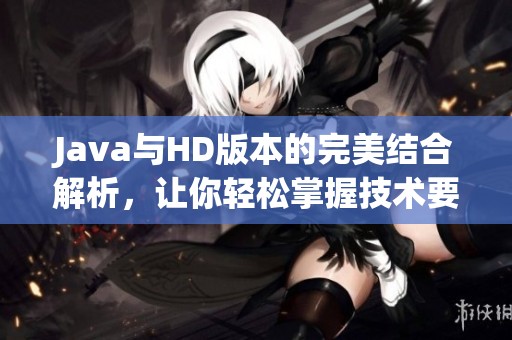 J**a与HD版本的完美结合解析，让你轻松掌握技术要点