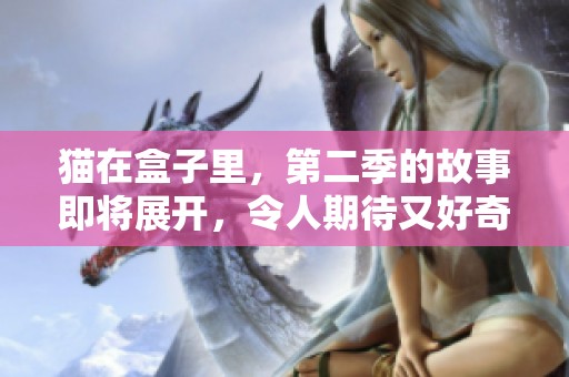猫在盒子里，第二季的故事即将展开，令人期待又好奇
