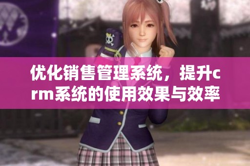 优化销售管理系统，提升crm系统的使用效果与效率