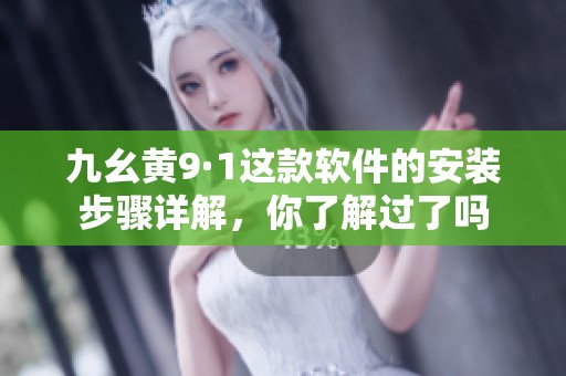 九幺黄9·1这款软件的安装步骤详解，你了解过了吗