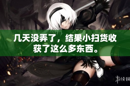 几天没弄了，结果小扫货收获了这么多东西。