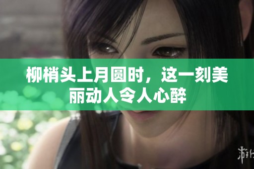 柳梢头上月圆时，这一刻美丽动人令人心醉