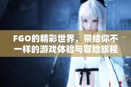 FGO的精彩世界，带给你不一样的游戏体验与冒险旅程