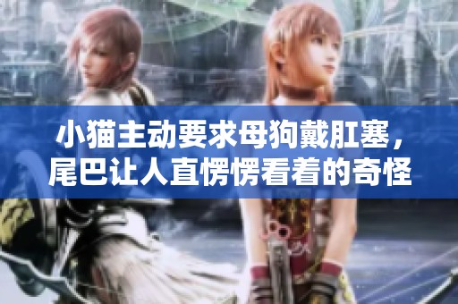 小猫主动要求母狗戴肛塞，尾巴让人直愣愣看着的奇怪场面