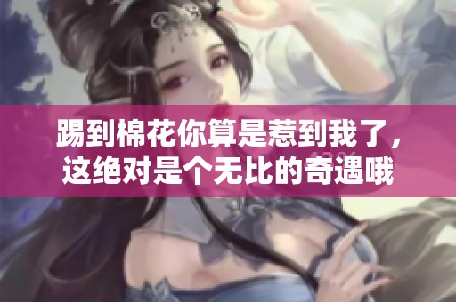 踢到棉花你算是惹到我了，这绝对是个无比的奇遇哦