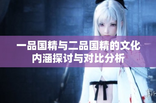 一品国精与二品国精的文化内涵探讨与对比分析