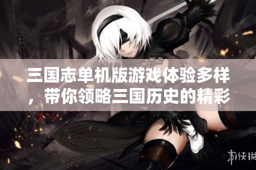 三国志单机版游戏体验多样，带你领略三国历史的精彩瞬间