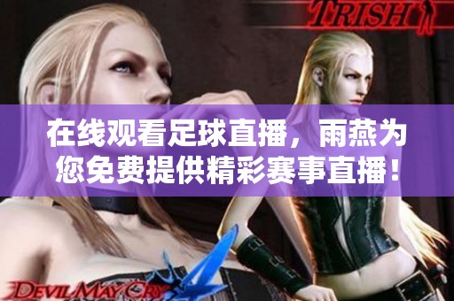 在线观看足球直播，雨燕为您免费提供精彩赛事直播！