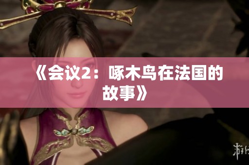 《会议2：啄木鸟在法国的故事》