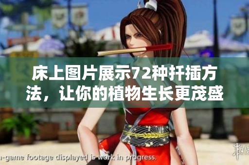 床上图片展示72种扦插方法，让你的植物生长更茂盛
