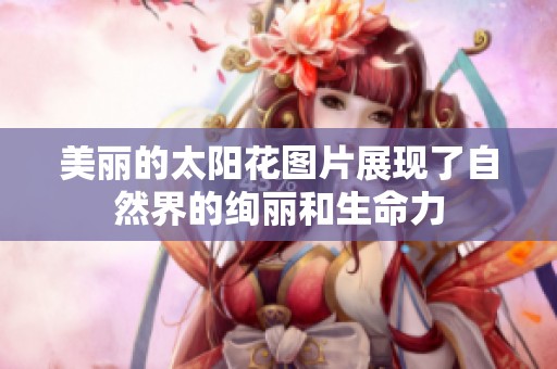 美丽的太阳花图片展现了自然界的绚丽和生命力