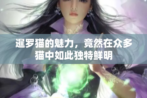 暹罗猫的魅力，竟然在众多猫中如此独特鲜明