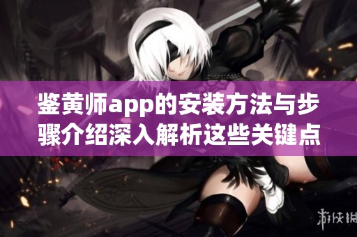 鉴黄师app的安装方法与步骤介绍深入解析这些关键点
