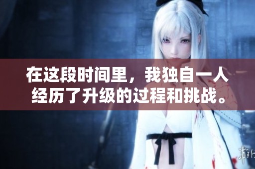 在这段时间里，我独自一人经历了升级的过程和挑战。