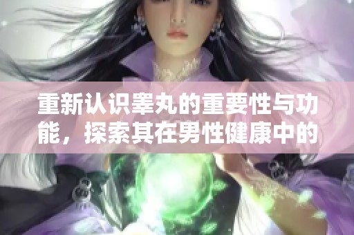重新认识睾丸的重要性与功能，探索其在男性健康中的关键角色
