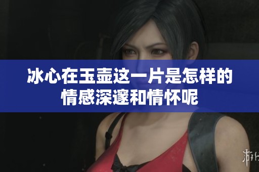 冰心在玉壶这一片是怎样的情感深邃和情怀呢