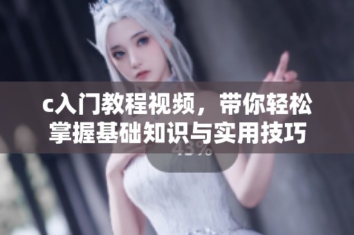 c入门教程视频，带你轻松掌握基础知识与实用技巧