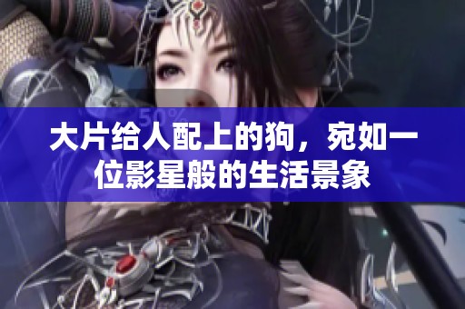 大片给人配上的狗，宛如一位影星般的生活景象