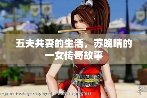 五夫共妻的生活，苏晚晴的一女传奇故事
