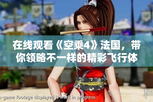 在线观看《空乘4》法国，带你领略不一样的精彩飞行体验