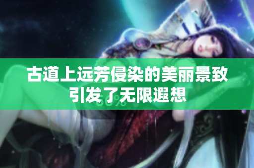 古道上远芳侵染的美丽景致引发了无限遐想