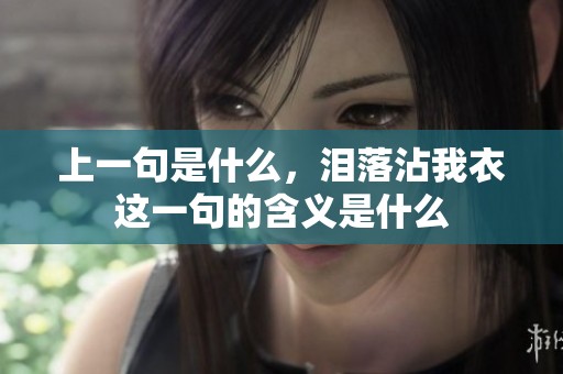 上一句是什么，泪落沾我衣这一句的含义是什么