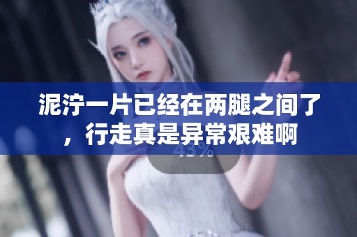 泥泞一片已经在两腿之间了，行走真是异常艰难啊