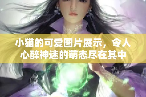 小猫的可爱图片展示，令人心醉神迷的萌态尽在其中