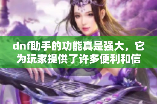 dnf助手的功能真是强大，它为玩家提供了许多便利和信息