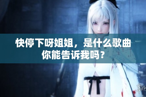 快停下呀姐姐，是什么歌曲你能告诉我吗？