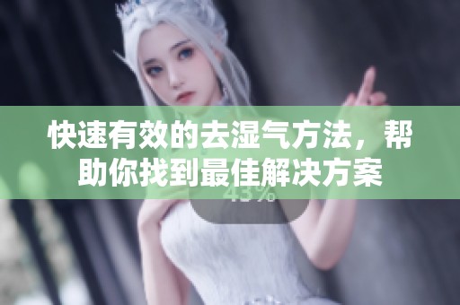 快速有效的去湿气方法，帮助你找到最佳解决方案