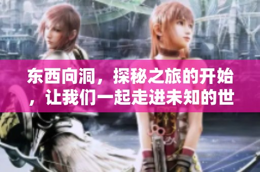 东西向洞，探秘之旅的开始，让我们一起走进未知的世界。