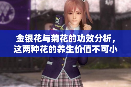 金银花与菊花的功效分析，这两种花的养生价值不可小觑