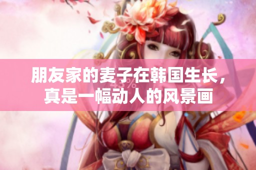 朋友家的麦子在韩国生长，真是一幅动人的风景画