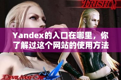 Yandex的入口在哪里，你了解过这个网站的使用方法吗