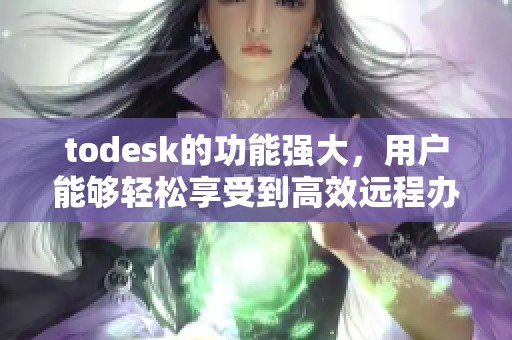 todesk的功能强大，用户能够轻松享受到高效远程办公体验
