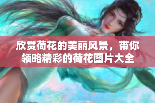 欣赏荷花的美丽风景，带你领略精彩的荷花图片大全