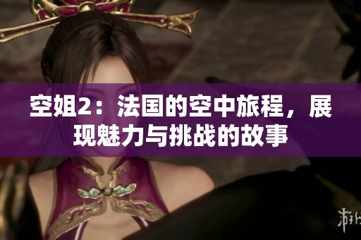 空姐2：法国的空中旅程，展现魅力与挑战的故事