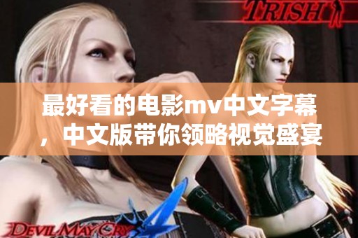 最好看的电影mv中文字幕，中文版带你领略视觉盛宴的魅力与精彩