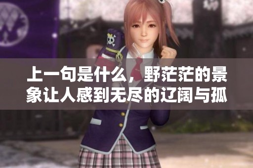 上一句是什么，野茫茫的景象让人感到无尽的辽阔与孤寂。