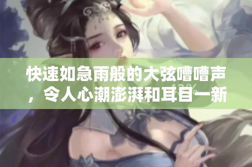 快速如急雨般的大弦嘈嘈声，令人心潮澎湃和耳目一新