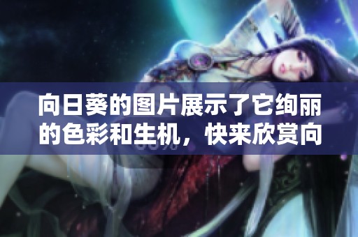 向日葵的图片展示了它绚丽的色彩和生机，快来欣赏向日葵的美丽照片吧