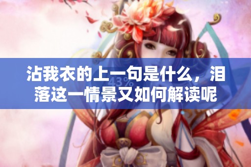 沾我衣的上一句是什么，泪落这一情景又如何解读呢